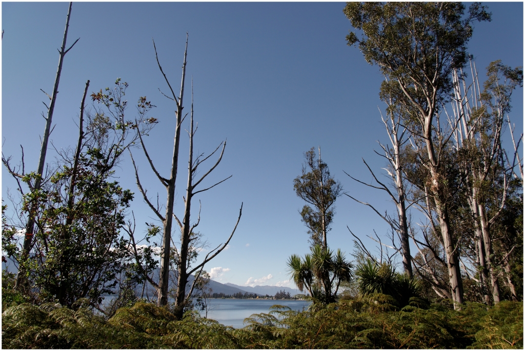 06 -Te Anau (13).jpg